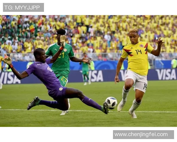 马里与法国足球友谊赛结果揭晓精彩瞬间回顾与分析