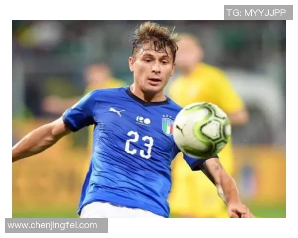 马丁内利：从新星崛起到足球场上的闪耀之星