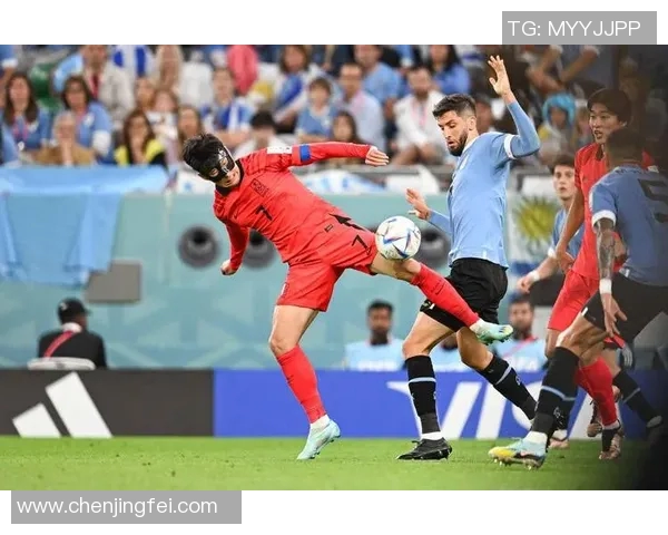 韩国与卡塔尔精彩对决视频集锦回顾赛场瞬间与精彩进球时刻