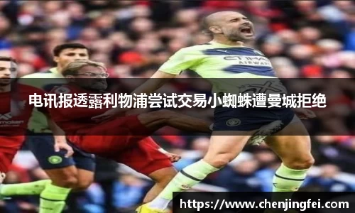 电讯报透露利物浦尝试交易小蜘蛛遭曼城拒绝