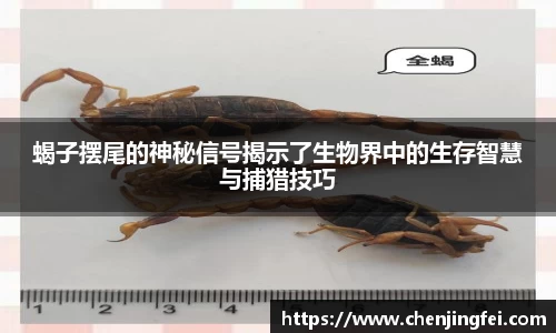 一竞技首页