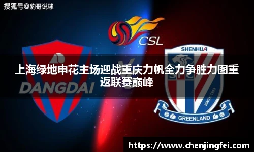 上海绿地申花主场迎战重庆力帆全力争胜力图重返联赛巅峰